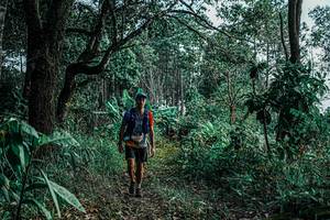 BIB: 
                            <button type="button" onclick="openModal(25659743)" class="btn btn-primary btn-sm float-right btn-popup" data-toggle="modal" data-target=".modal-high-quality">
                        <i class="fas fa-shopping-cart"></i> Add to Cart
                    </button>
                                            <button type="button" onclick="isThisMe(25659743, true)" class="btn btn-success btn-sm float-right btn-popup btn-isme hidden" data-toggle="tooltip" data-placement="bottom" title="นี่คือรูปของคุณใช่ไหม คลิกที่นี่เพื่อเอาเข้าอัลบั้ม">
                        <i class="fas fa-plus"></i> Add to album
                    </button>
                    <button type="button" onclick="isThisMe(25659743, false)" class="btn btn-warning btn-sm float-right btn-popup btn-isnotme hidden">
                        <i class="fas fa-ban"></i> Remove from album
                    </button>